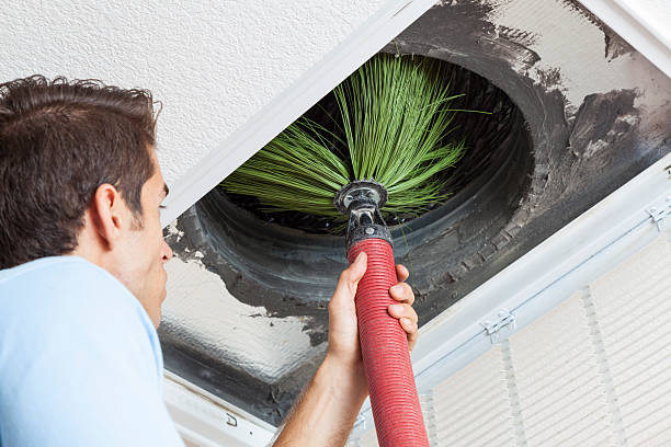 Best Air Duct Sanitizing Services  in West Bay Shore, NY